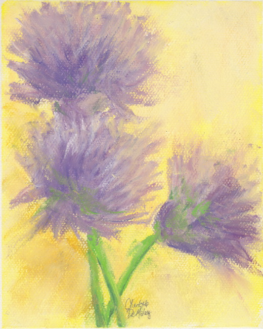 Chive Blossoms