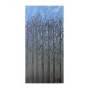 Seasonal Trees Series: Winter