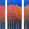 Seasonal Trees Autumn Series Seasonal Trees Series: Autumn