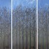 Seasonal Trees Series: Winter