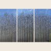 Seasonal Trees Series: Winter