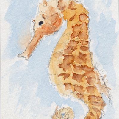 ATC: Seahorse