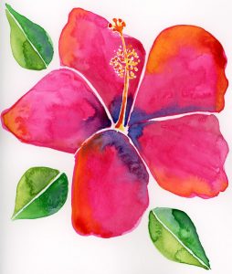 modern hibiscus watercolor