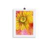 Print – Sundrop