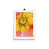 Print – Sundrop