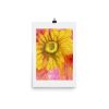 Print – Sundrop