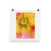 Print – Sundrop