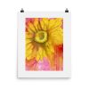 Print – Sundrop