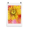 Print – Sundrop