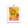 Print – Sundrop