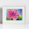 Print - Pink Hibiscus