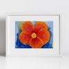 Frame Mockups - 12 Print - Orange Hibiscus
