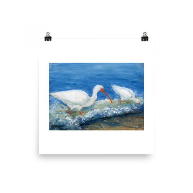 Print - White Ibises Fishing