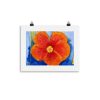 enhanced-matte-paper-poster-in-11x14-transparent-6402698a3d2da.jpg Print - Orange Hibiscus
