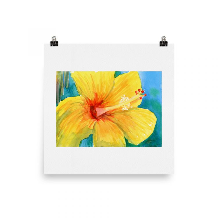enhanced-matte-paper-poster-in-12x12-transparent-640281f1be1fb.jpg Print - Yellow Hibiscus