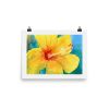enhanced-matte-paper-poster-in-12x16-transparent-640281f1be2b8.jpg Print - Yellow Hibiscus