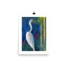 enhanced-matte-paper-poster-in-12x16-transparent-640282f6efa68.jpg Print - Great Egret III