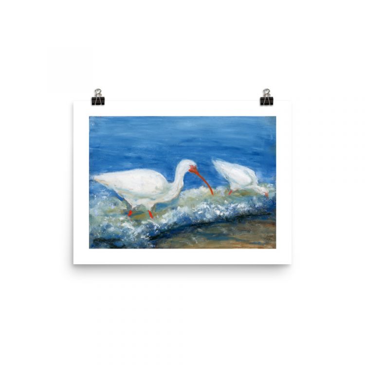 Print - White Ibises Fishing