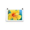 enhanced-matte-paper-poster-in-12x18-transparent-640281f1be372.jpg Print - Yellow Hibiscus