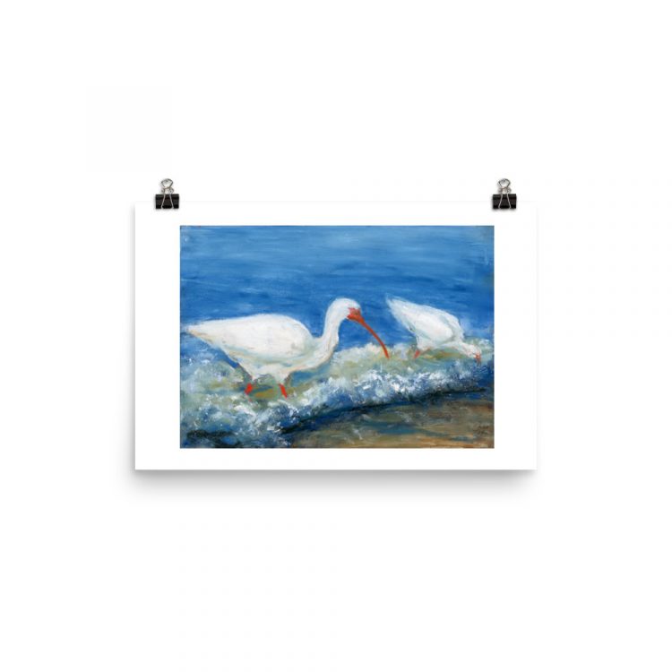 Print - White Ibises Fishing