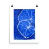 enhanced-matte-paper-poster-in-16x20-transparent-6405f049a84e2.jpg Print - Blue Mood II