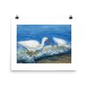 Print - White Ibises Fishing