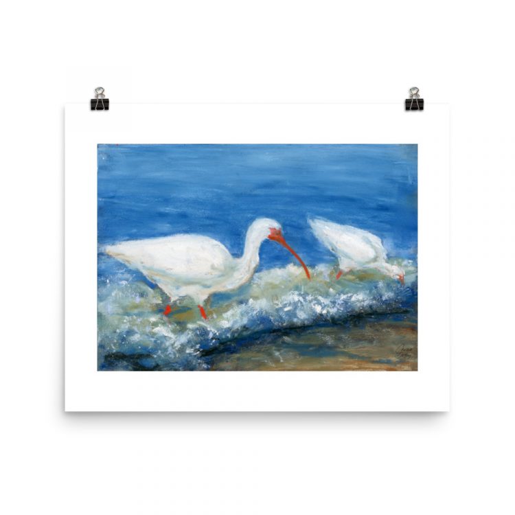 Print - White Ibises Fishing
