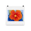 enhanced-matte-paper-poster-in-18x18-transparent-6402698a3d59e.jpg Print - Orange Hibiscus