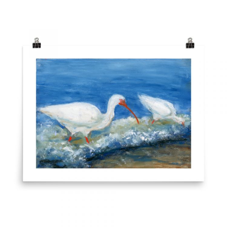 Print - White Ibises Fishing