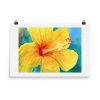enhanced-matte-paper-poster-in-24x36-transparent-640281f1be7c8.jpg Print - Yellow Hibiscus