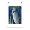 Print - Great Egret I