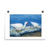 Print - White Ibises Fishing