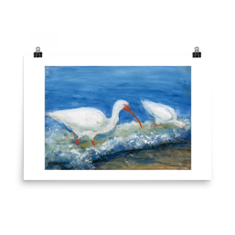 Print - White Ibises Fishing