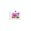 Print - Pink Hibiscus