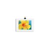 enhanced-matte-paper-poster-in-5x7-transparent-640281f1be886.jpg Print - Yellow Hibiscus