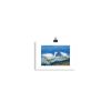 Print - White Ibises Fishing