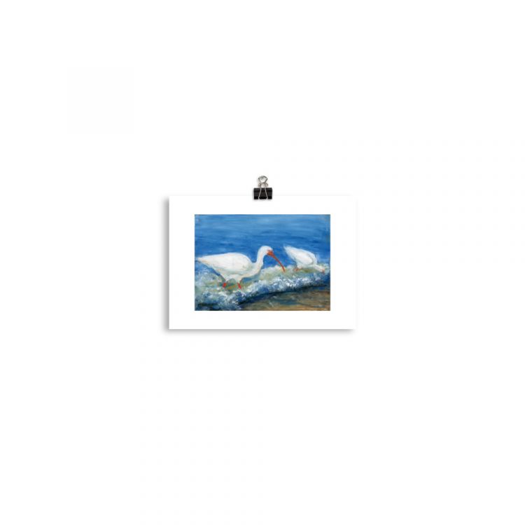 Print - White Ibises Fishing