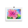 Print - Pink Hibiscus