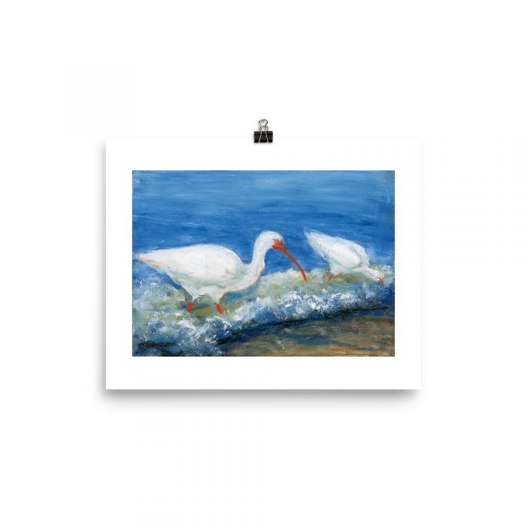Print - White Ibises Fishing