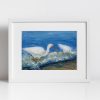 Print - White Ibises Fishing