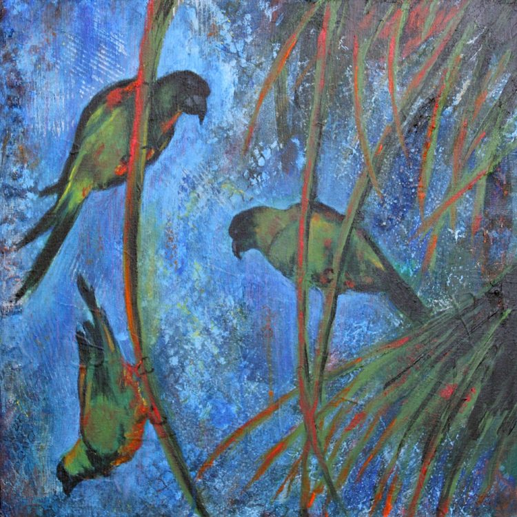 2023011web Wild: Island Nandays Sold~Prints Available