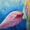2023014web roseate spoonbill