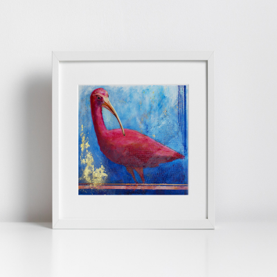 Print - Scarlet Ibis: Pink Ladies of Florida