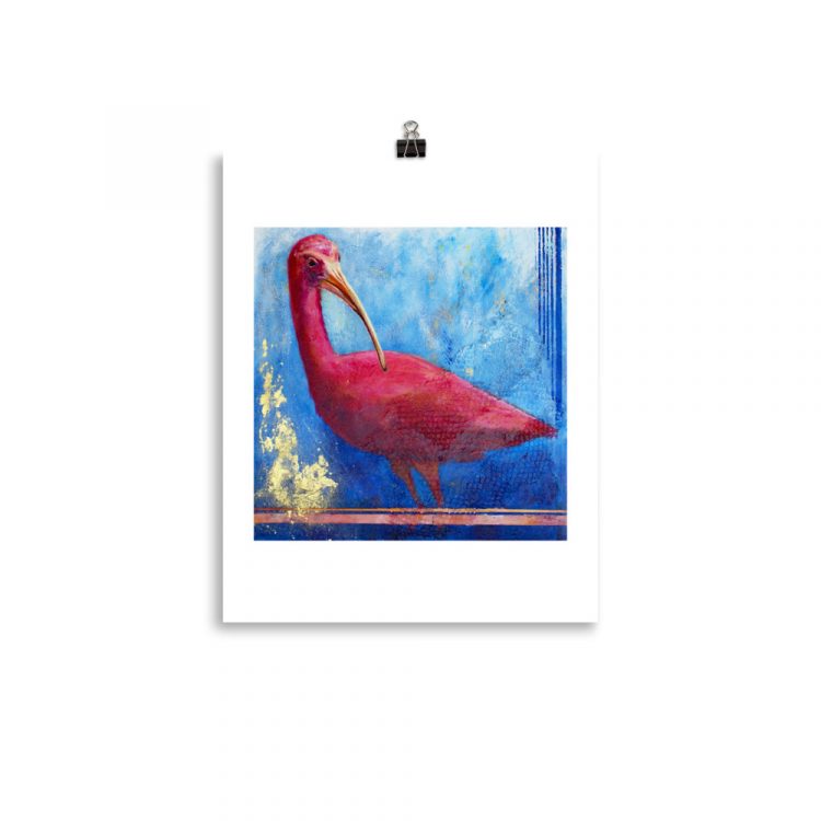 Print - Scarlet Ibis: Pink Ladies of Florida