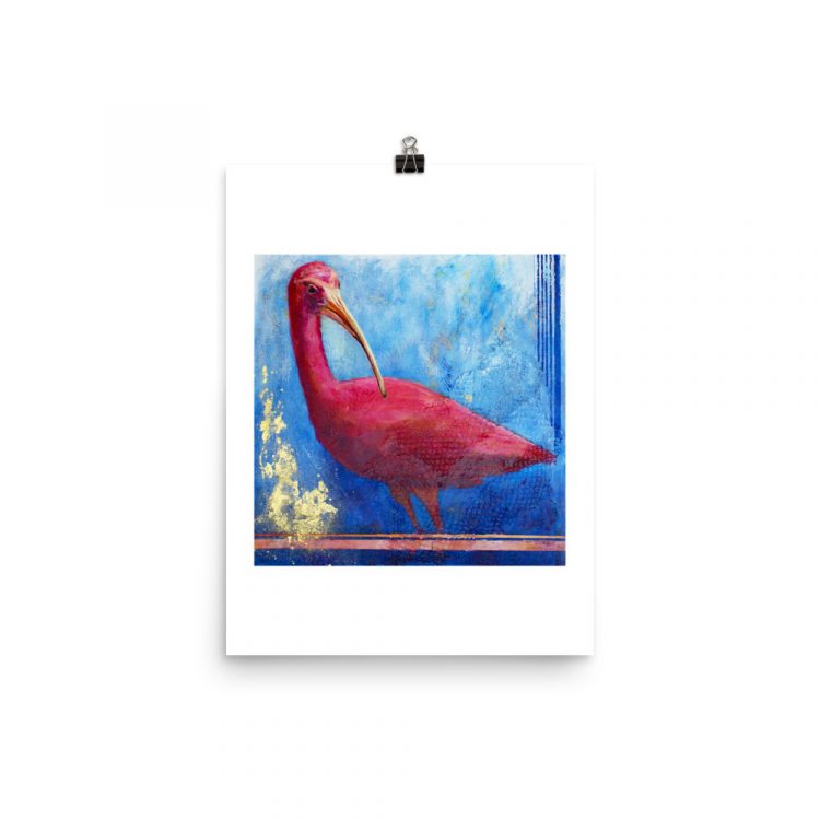 Print - Scarlet Ibis: Pink Ladies of Florida