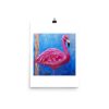 Print – American Flamingo: Pink Ladies of Florida