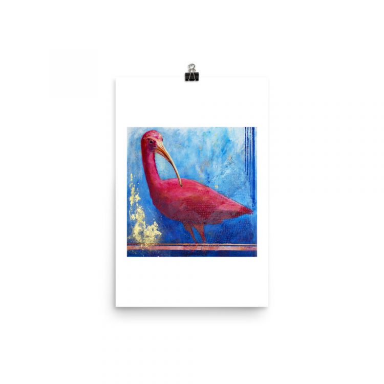 Print - Scarlet Ibis: Pink Ladies of Florida