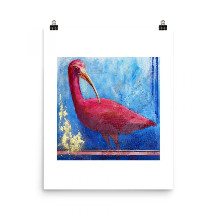 Print - Scarlet Ibis: Pink Ladies of Florida