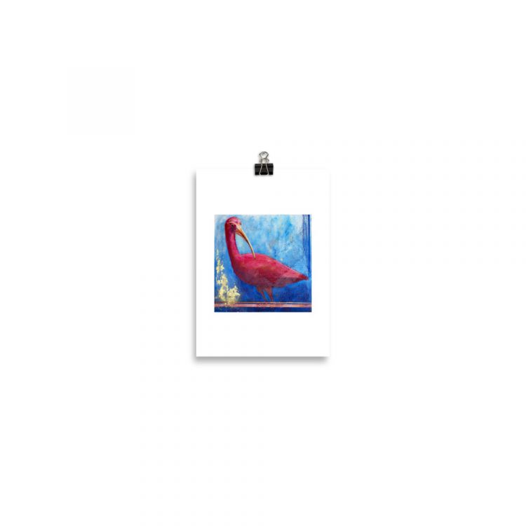 Print - Scarlet Ibis: Pink Ladies of Florida