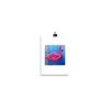 Print – American Flamingo: Pink Ladies of Florida